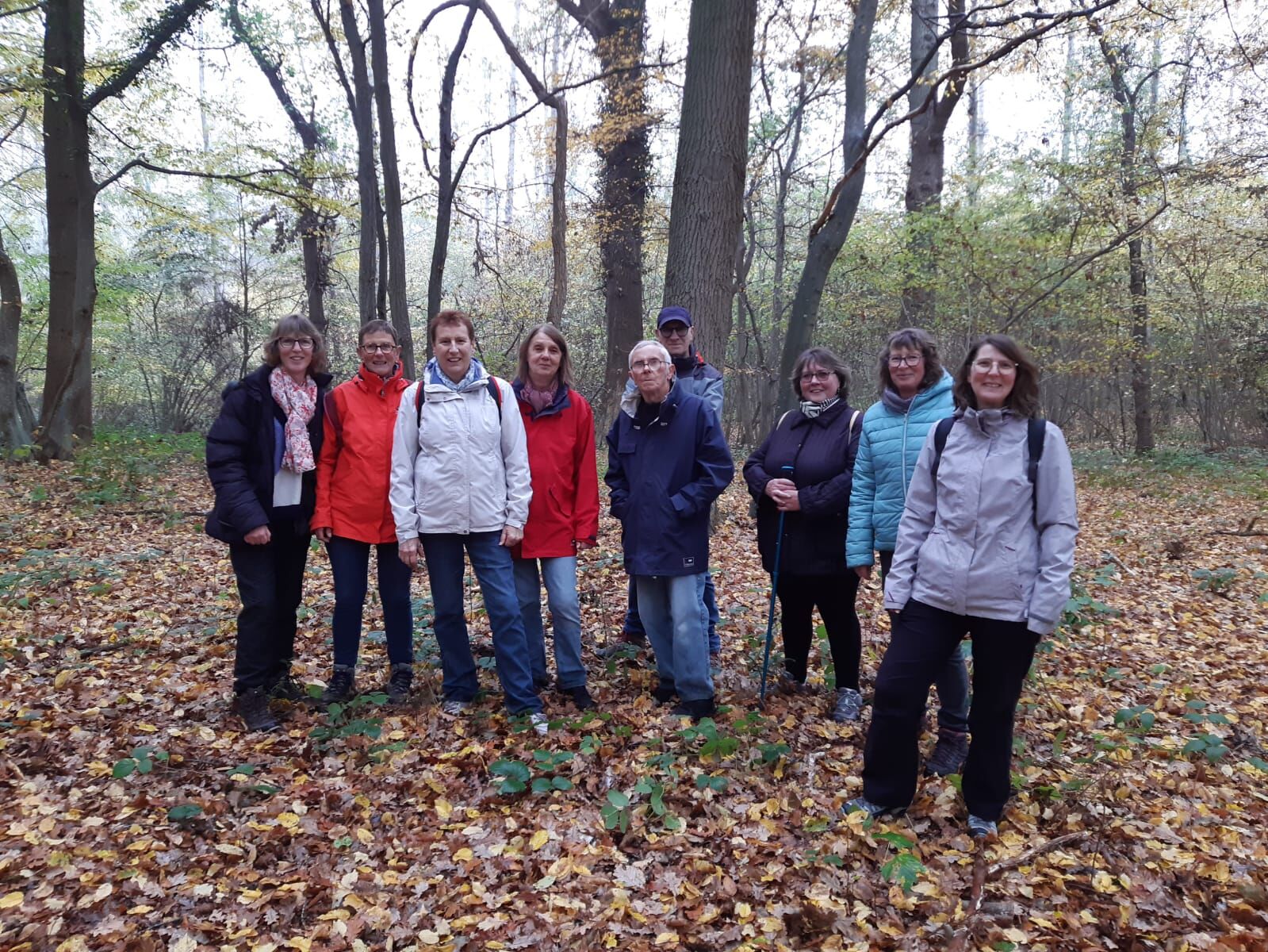 Groupe de participants lors d’une randonnée en forêt