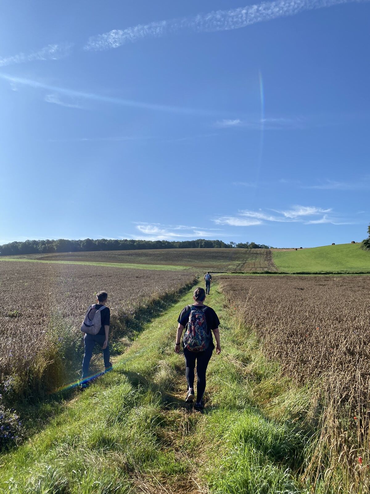 Marcheurs sur un chemin entre les champs