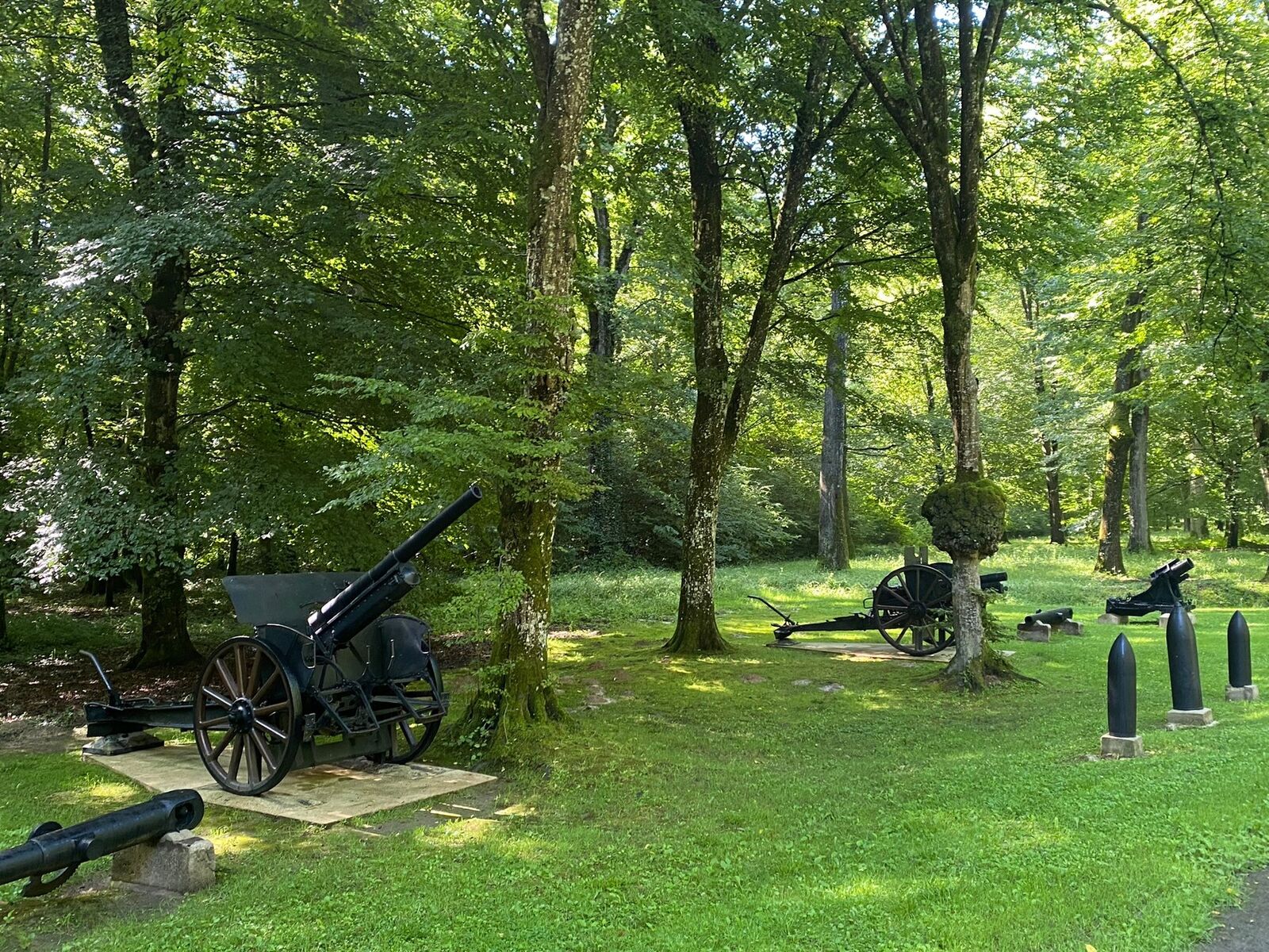 Sous-bois et patrimoine rencontrés au fil des sorties